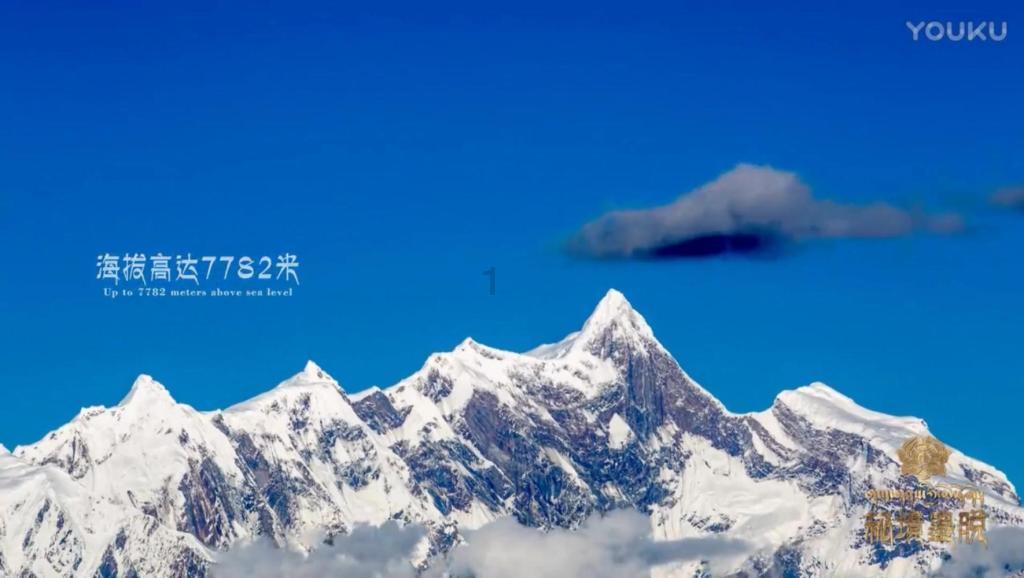 告别“折返跑”，一站式解决糖尿病管理问题